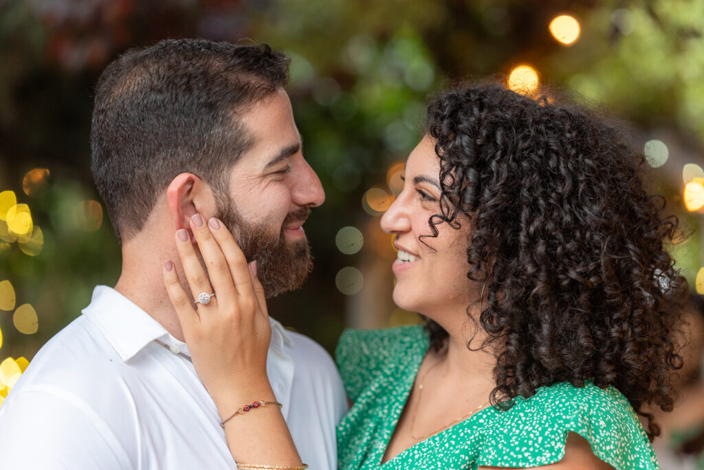 the newly engaged couple - proposal